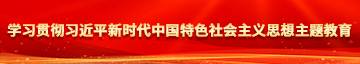 屌逼女生视频学习贯彻习近平新时代中国特色社会主义思想主题教育