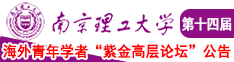 揉捏花核抽查南京理工大学第十四届海外青年学者紫金论坛诚邀海内外英才！